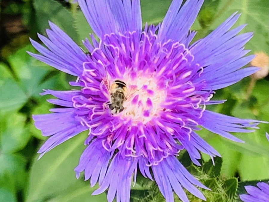 IMG_9430.jpg?type=w966