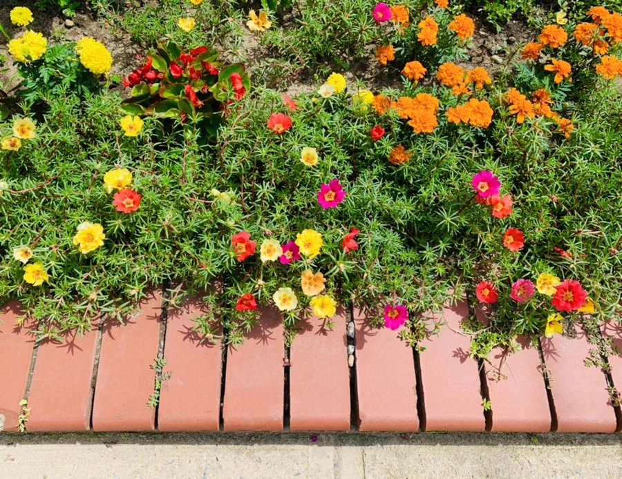 IMG_0659.jpg?type=w966