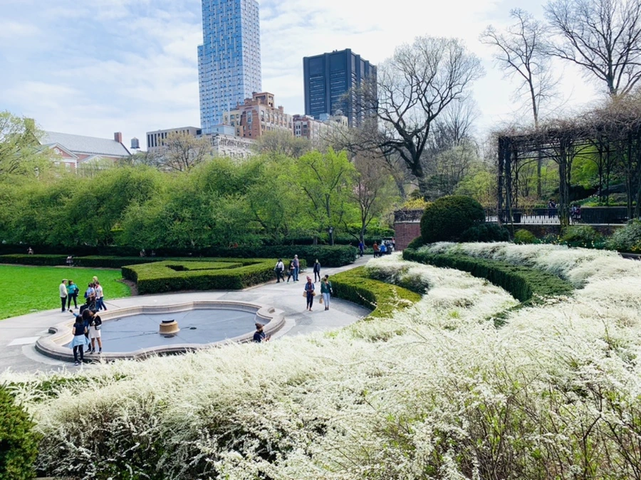 IMG_0398.jpg?type=w966