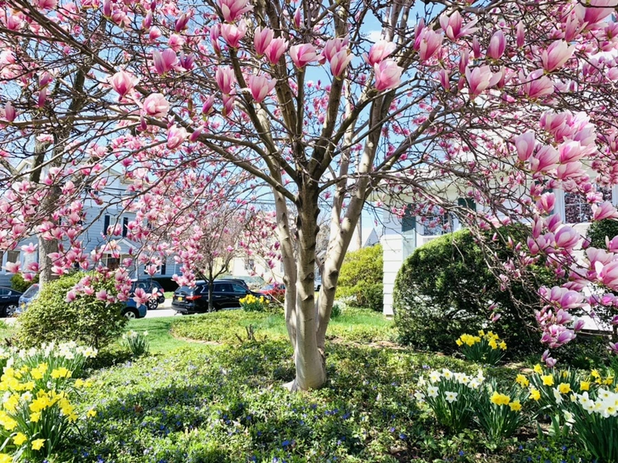 IMG_8563.jpg?type=w966