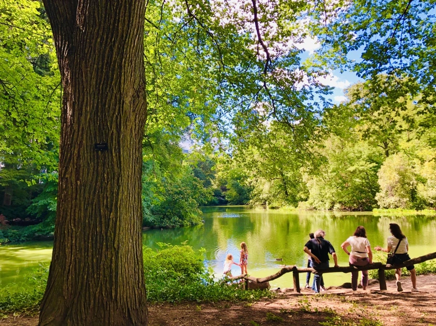 IMG_8857.jpg?type=w966