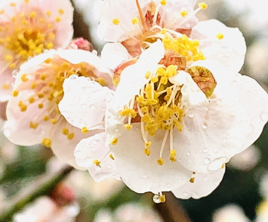 IMG_1942.jpg?type=w966