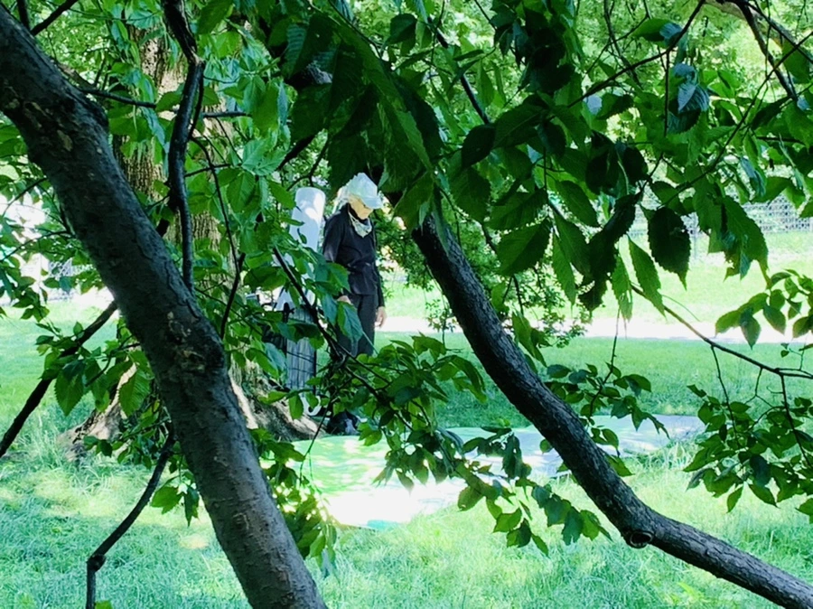 IMG_4968.jpg?type=w966