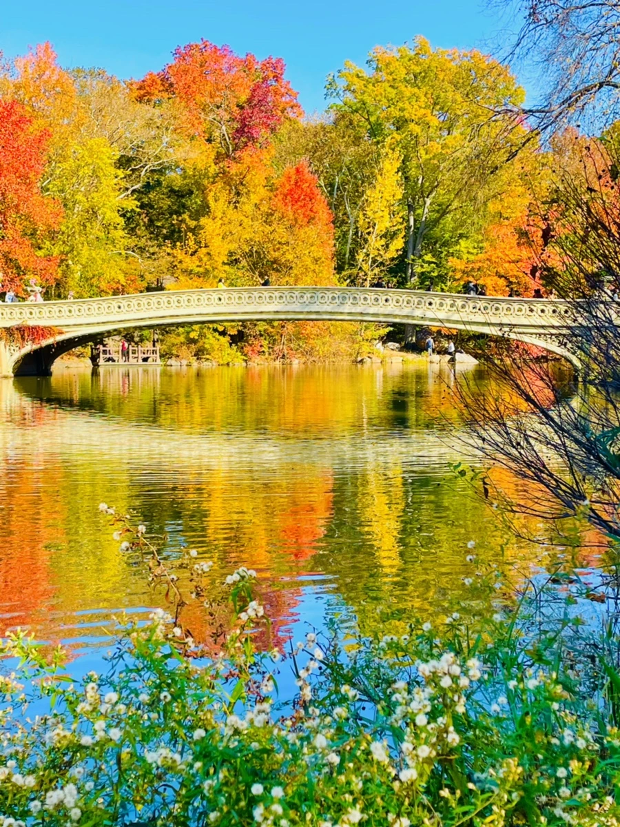 IMG_1657.jpg?type=w966