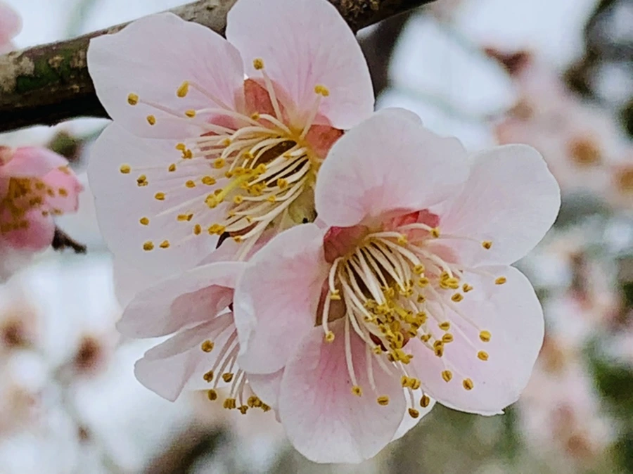 IMG_3574.jpg?type=w966