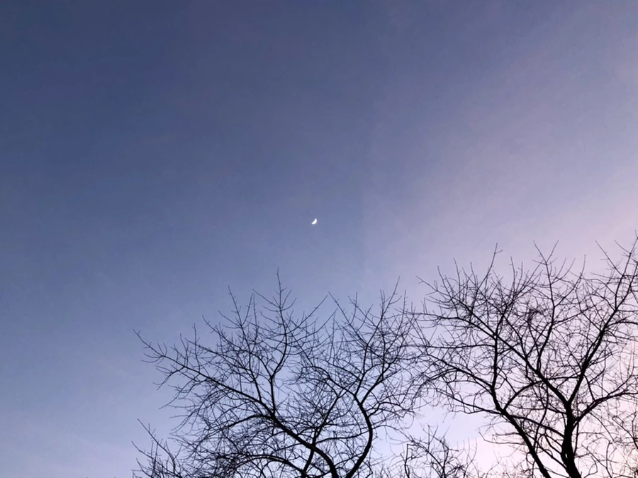 IMG_3281.jpg?type=w966