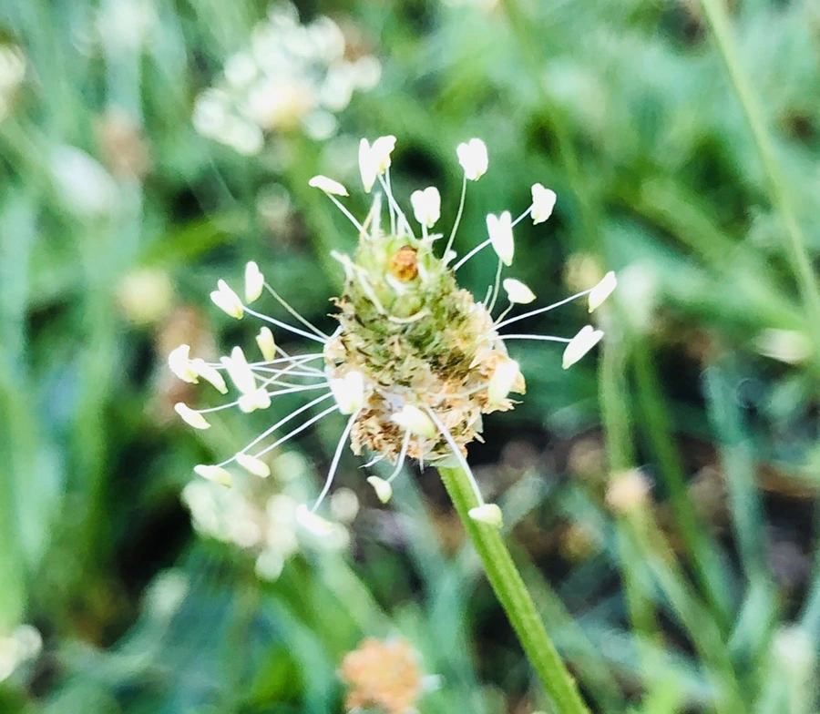 IMG_8339.jpg?type=w966