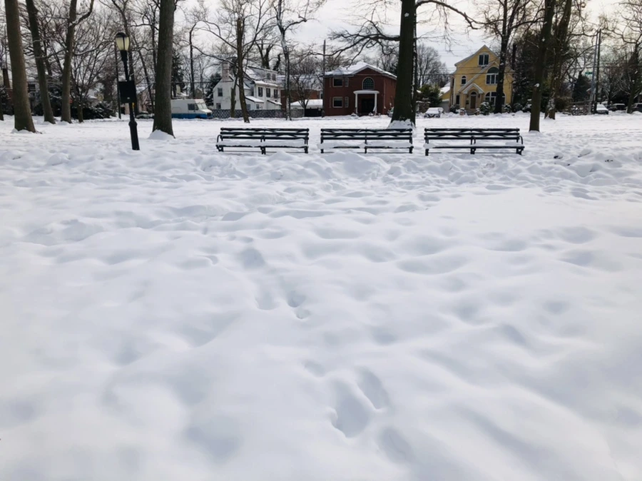 IMG_2152.jpg?type=w966