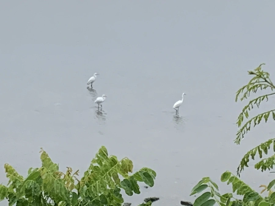 IMG_9713.jpg?type=w966