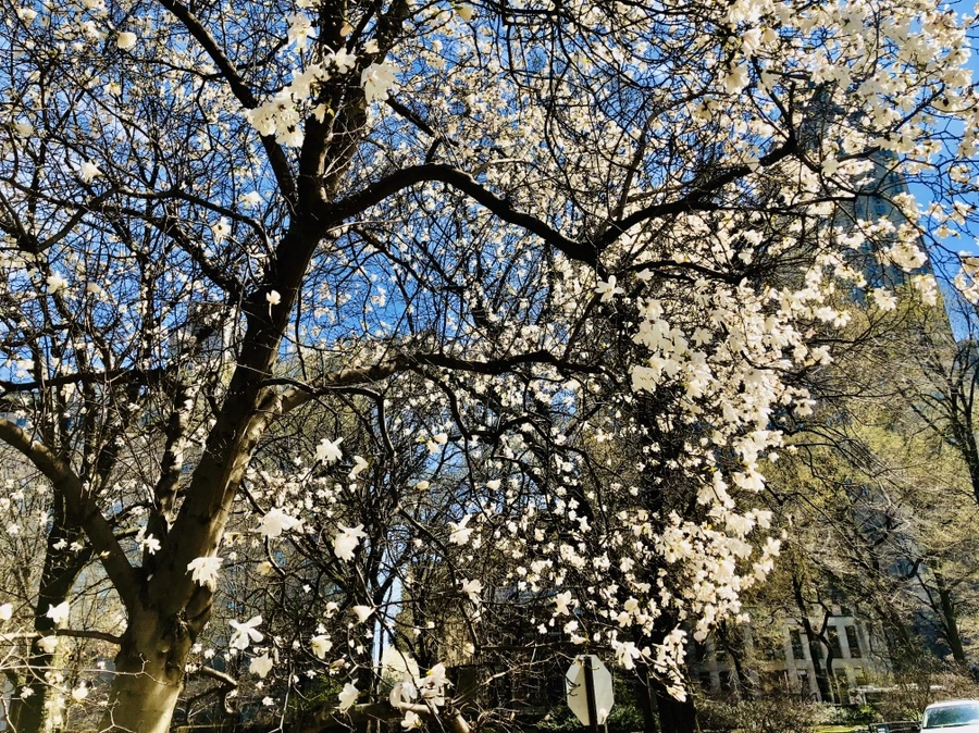 IMG_6614.jpg?type=w966