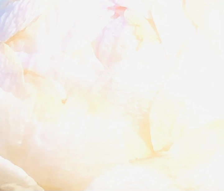 IMG_1388.jpg?type=w966