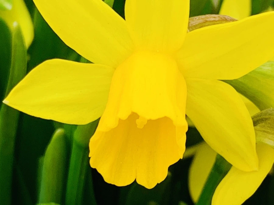 IMG_3484.jpg?type=w966