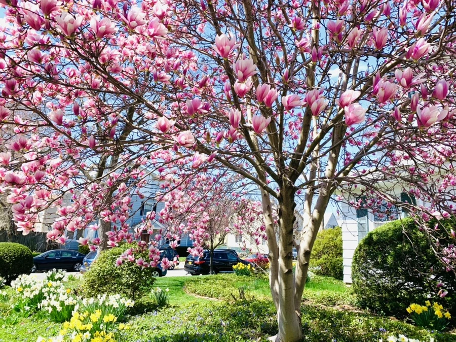 IMG_8564.jpg?type=w966