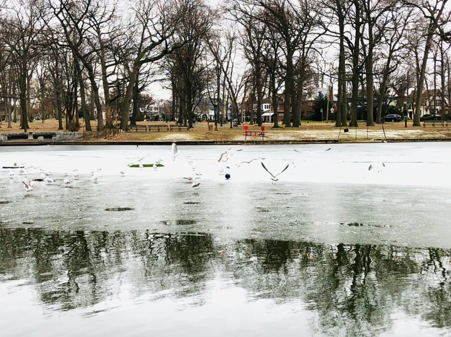 IMG_6376.jpg?type=w966