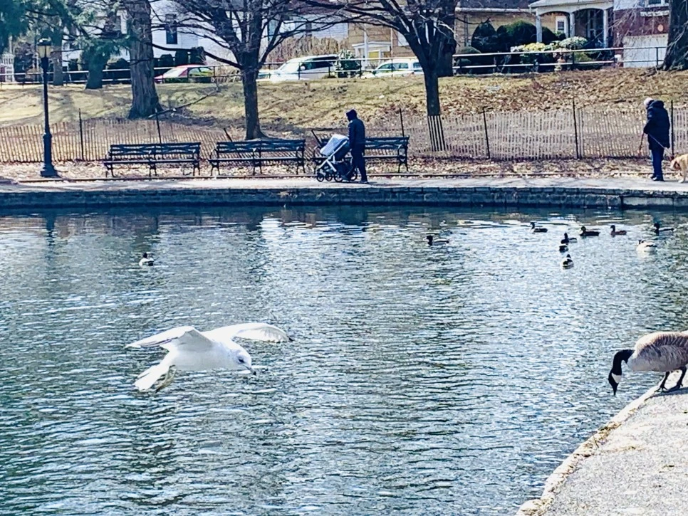 IMG_7199.jpg?type=w966