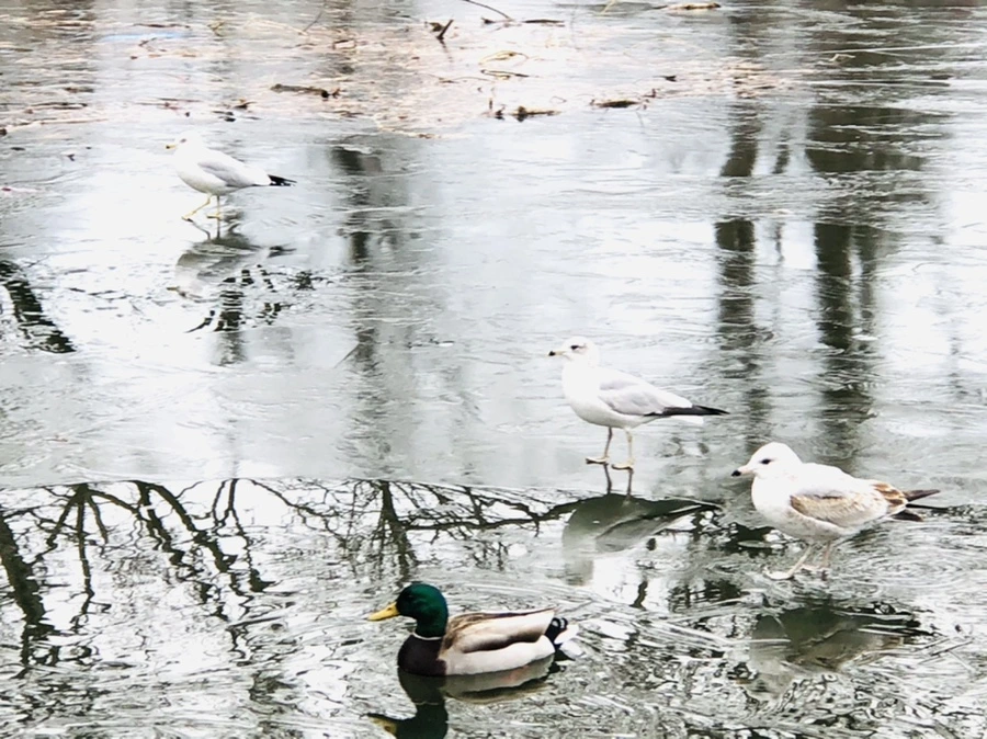 IMG_8914.jpg?type=w966