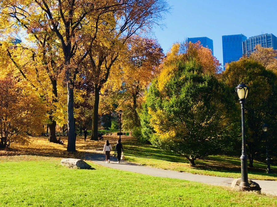 IMG_4235.jpg?type=w966