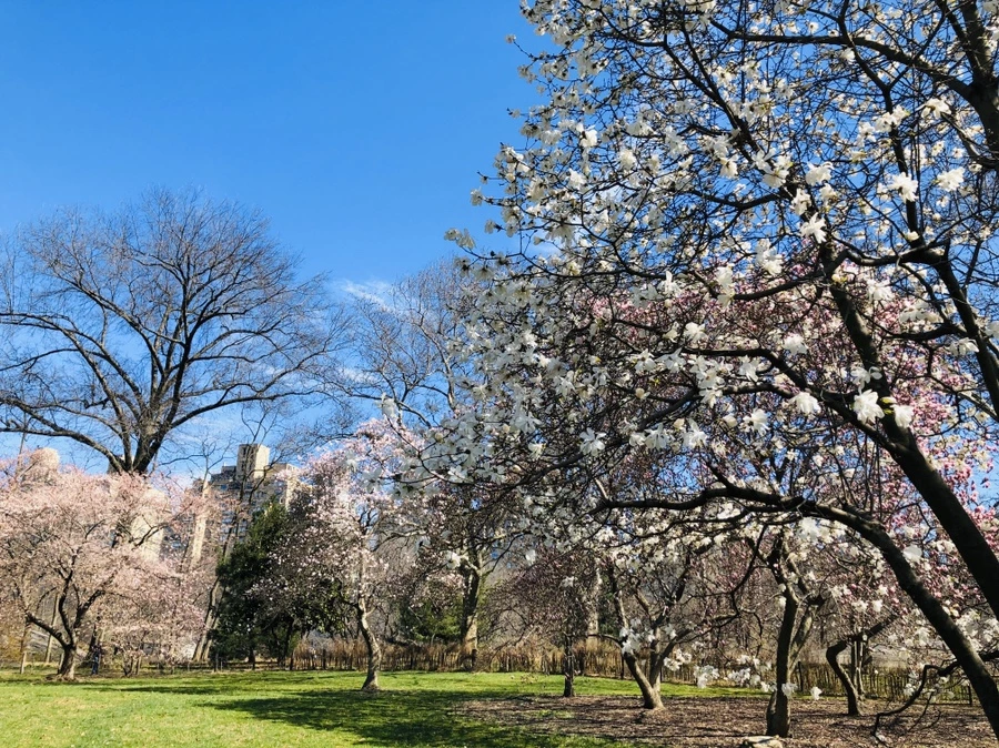 IMG_6649.jpg?type=w966