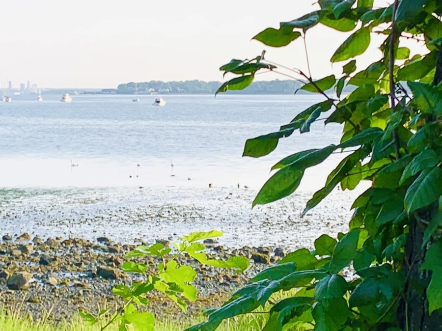 IMG_9802.jpg?type=w966