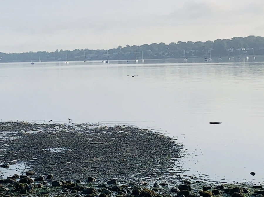 IMG_4373.jpg?type=w966