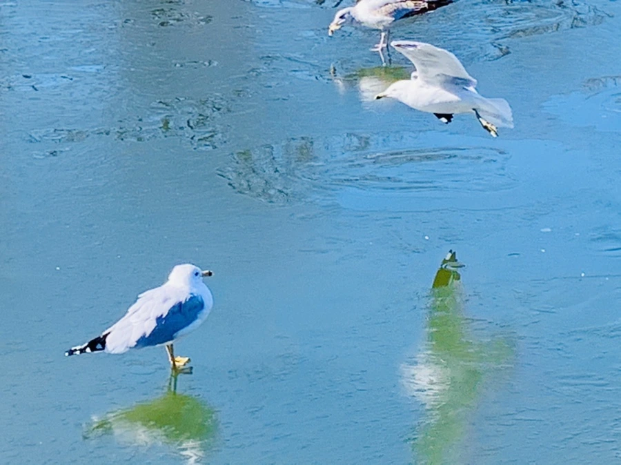 IMG_9074.jpg?type=w966