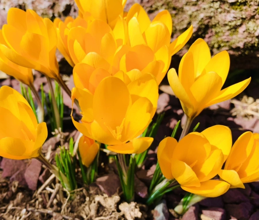 IMG_0678.jpg?type=w966