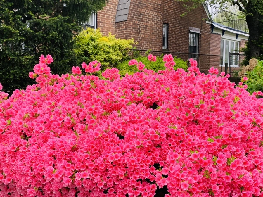 IMG_9697.jpg?type=w966