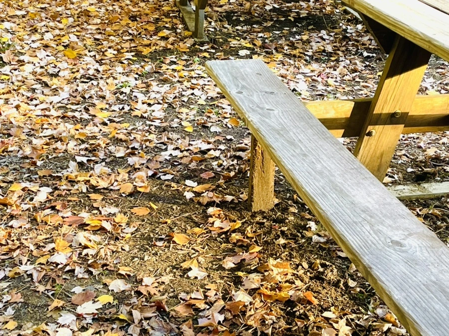 IMG_1813.jpg?type=w966