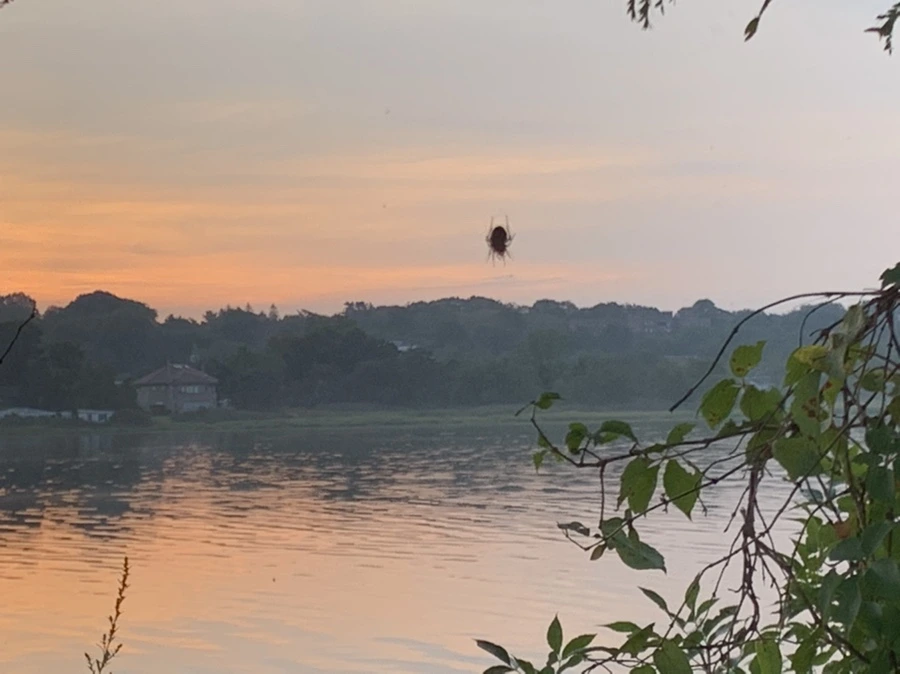 IMG_6791.jpg?type=w966