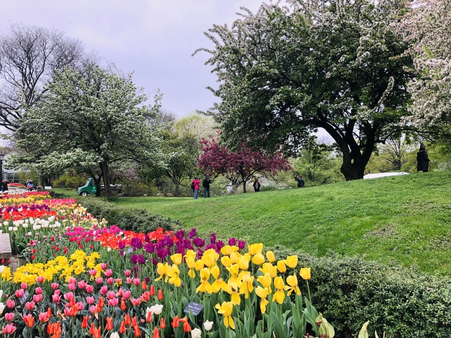 IMG_3753.jpg?type=w966