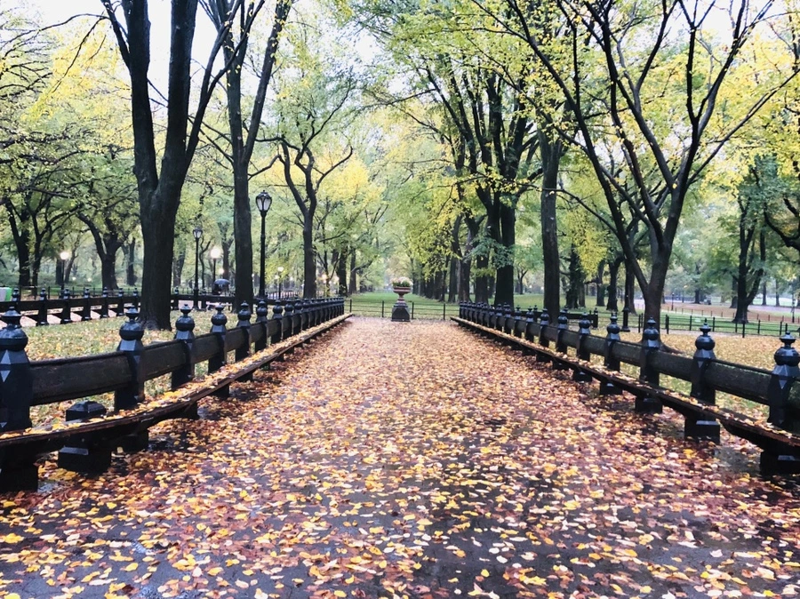 IMG_3140.jpg?type=w966