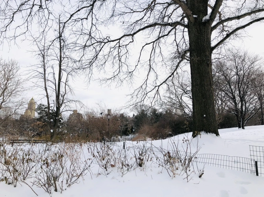 IMG_9465.jpg?type=w966