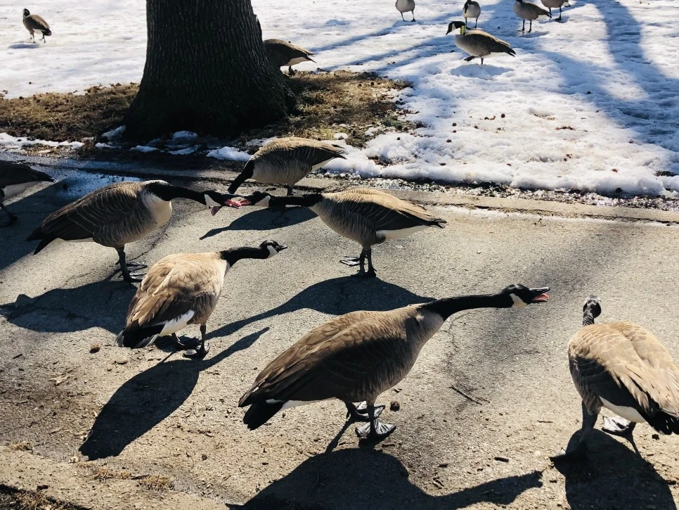 IMG_4575.jpg?type=w966