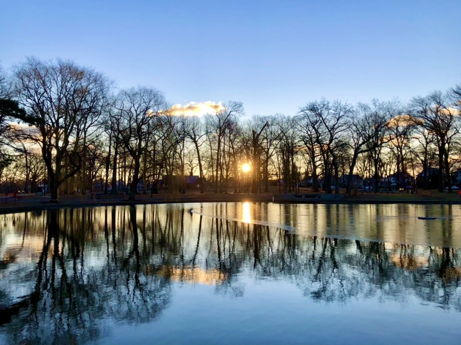 IMG_5173.jpg?type=w966