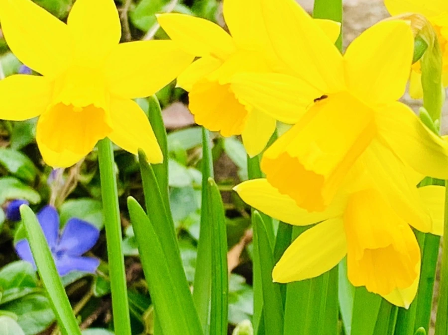 IMG_4035.jpg?type=w966