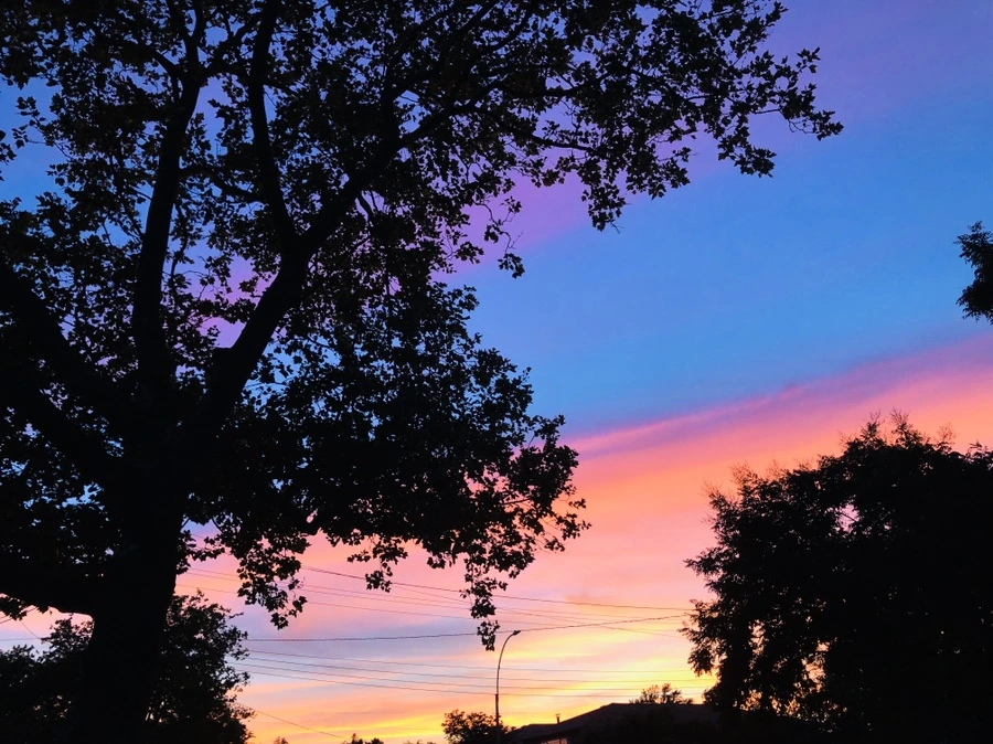 IMG_4574.jpg?type=w966