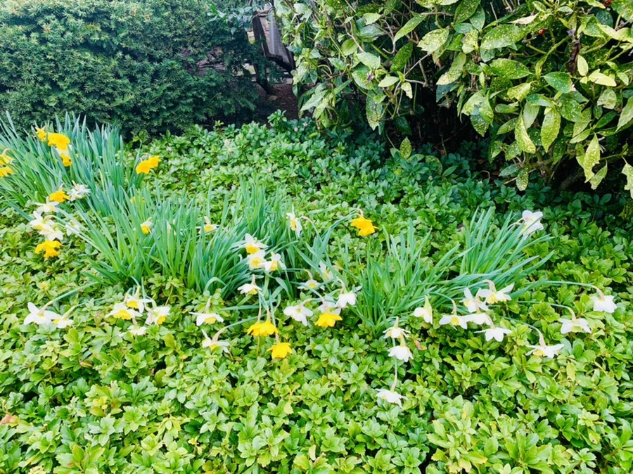 IMG_6085.jpg?type=w966