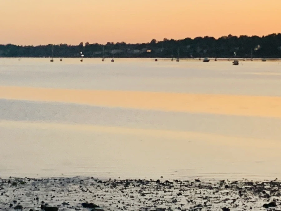 IMG_8528.jpg?type=w966