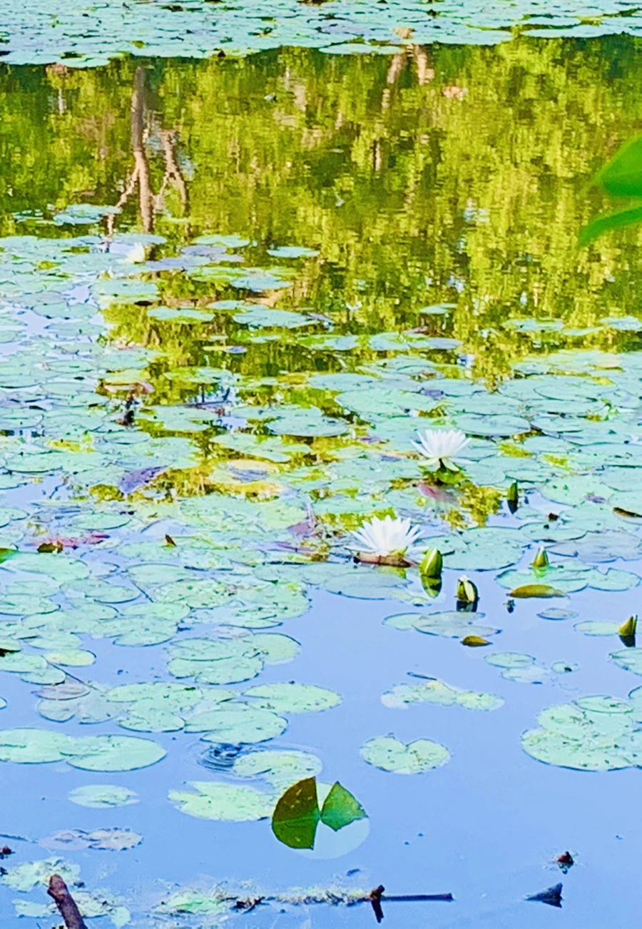 IMG_1943.jpg?type=w966