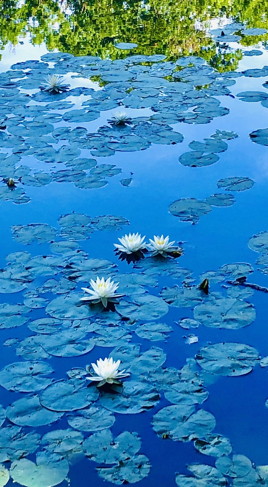 IMG_9840.jpg?type=w966