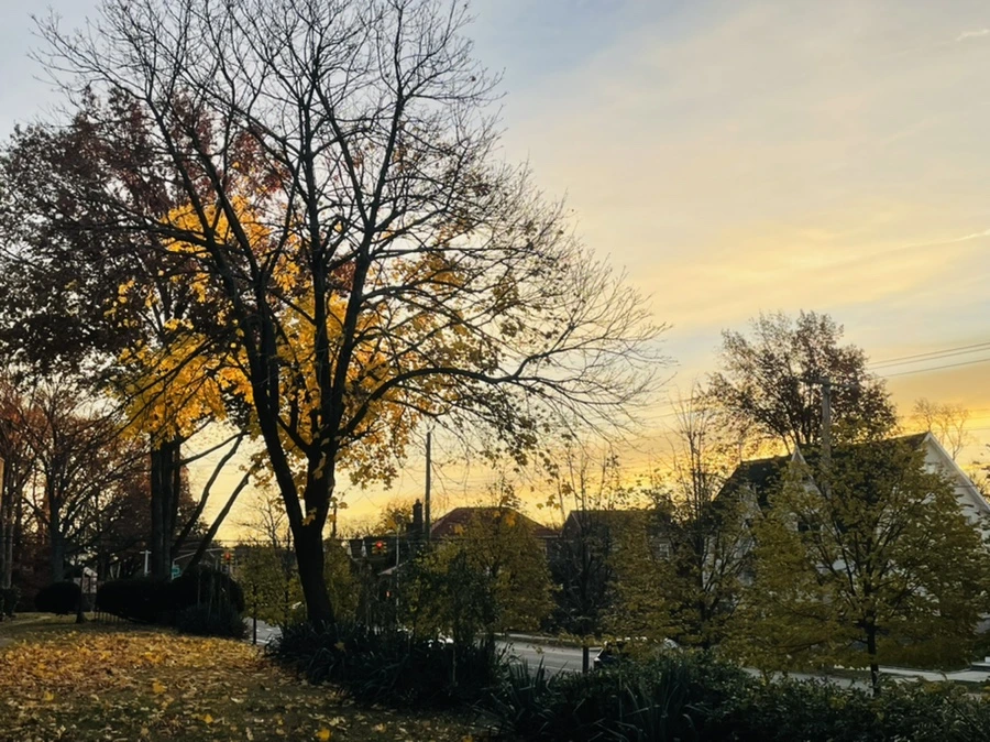 IMG_5874.jpg?type=w966