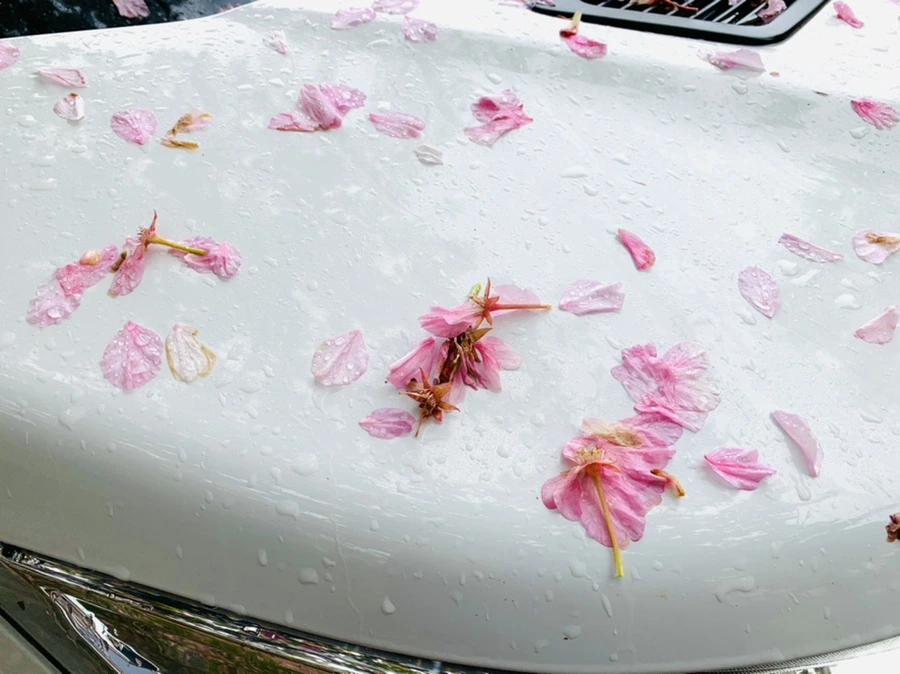 IMG_9464.jpg?type=w966