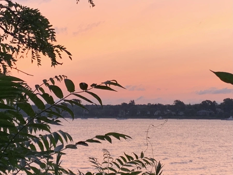 IMG_5409.jpg?type=w966