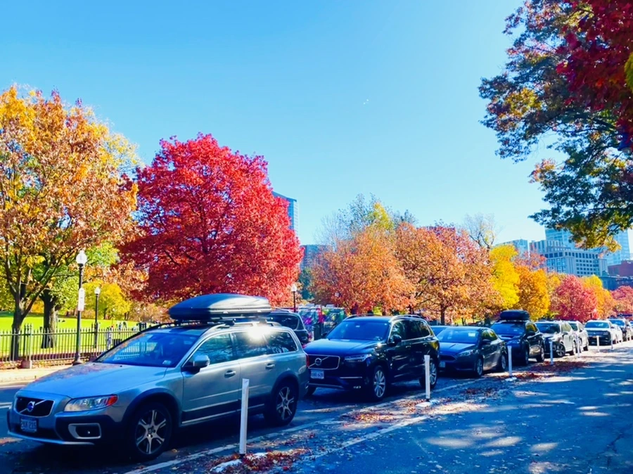 IMG_2531.jpg?type=w966