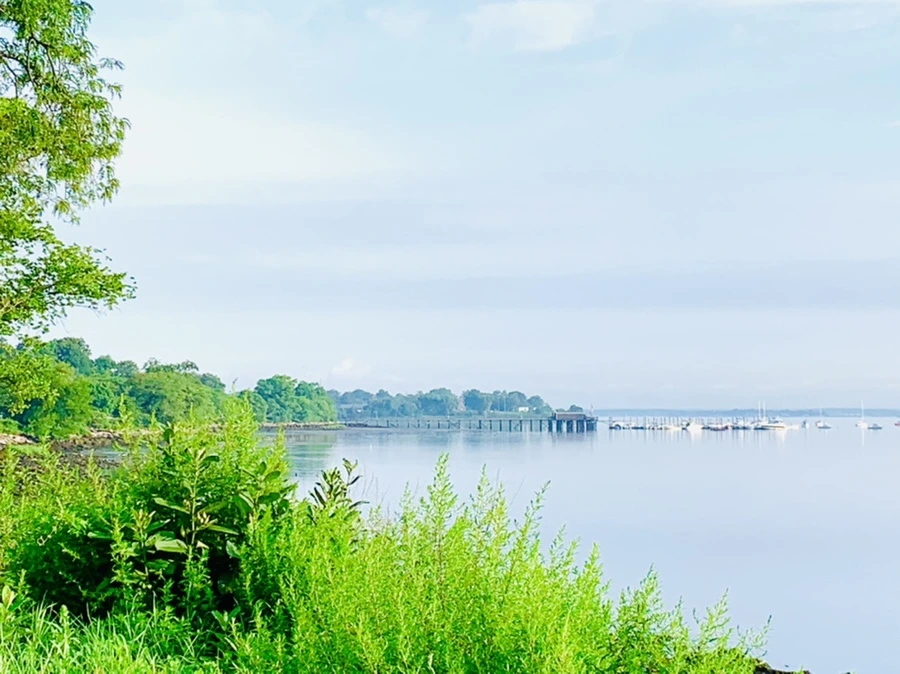 IMG_4401.jpg?type=w966