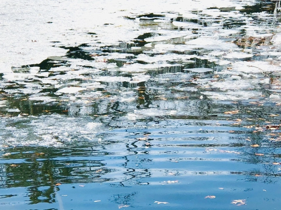 IMG_5125.jpg?type=w966