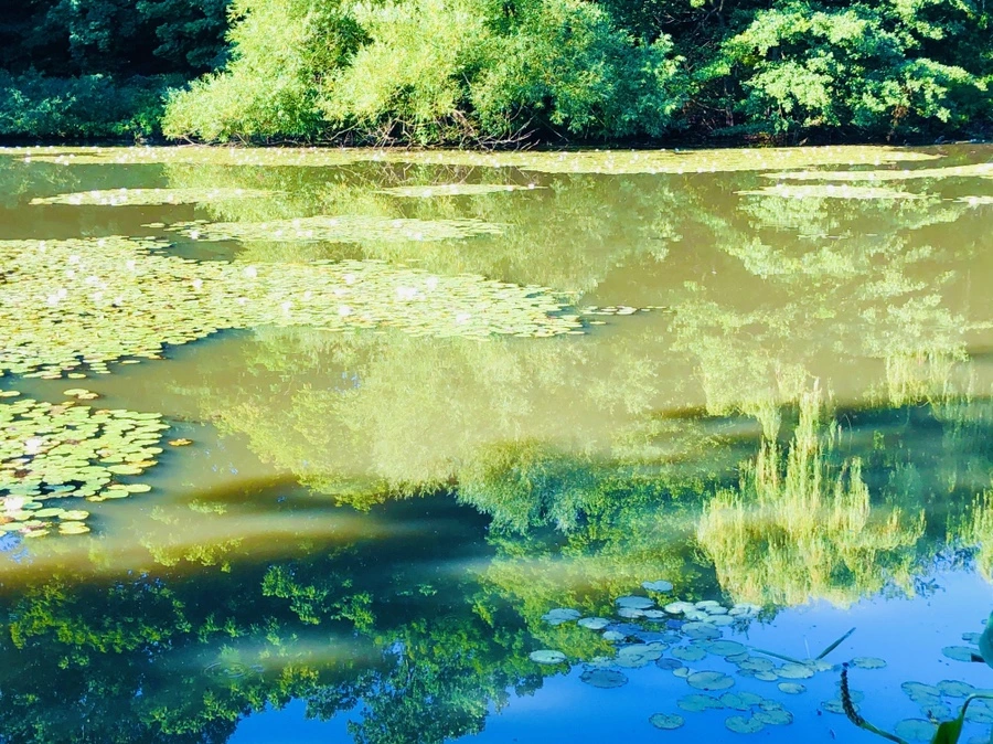 IMG_3886.jpg?type=w966