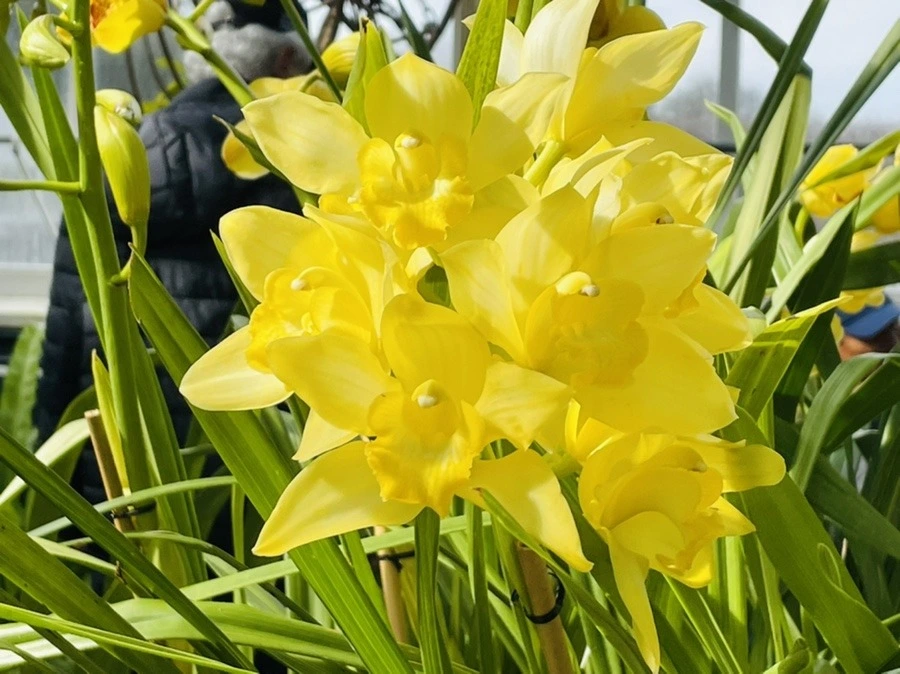 WRtBZOajAThA_O4zqfxMv88fAVs