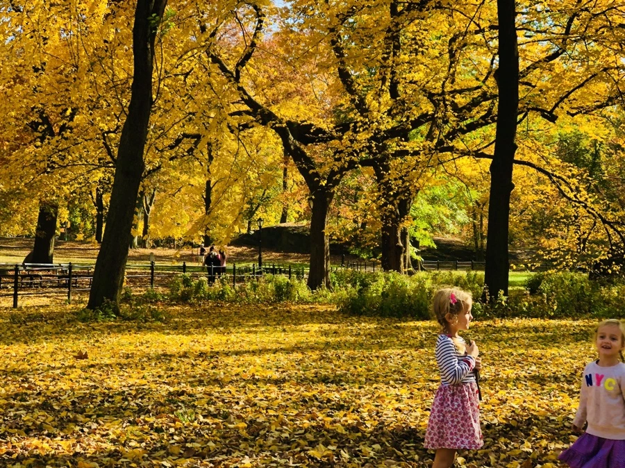 IMG_4274.jpg?type=w966