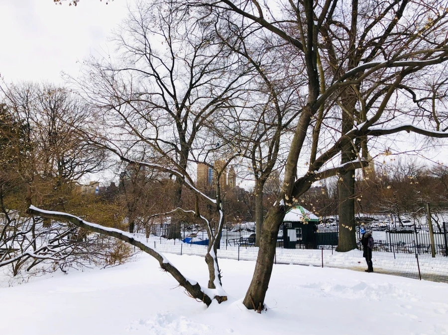 IMG_7344.jpg?type=w966